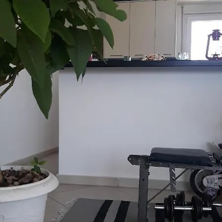 Guesthouse Guest house *