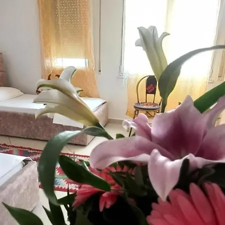 Guest house Guesthouse