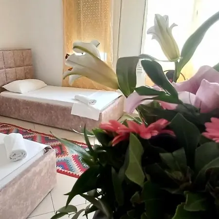 Guesthouse * Tirana